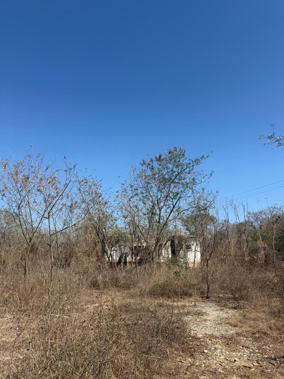 13 de 20