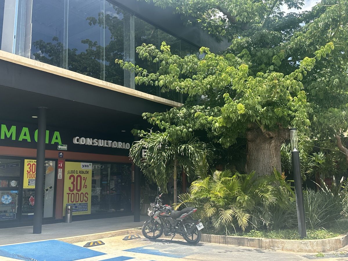3 de 3