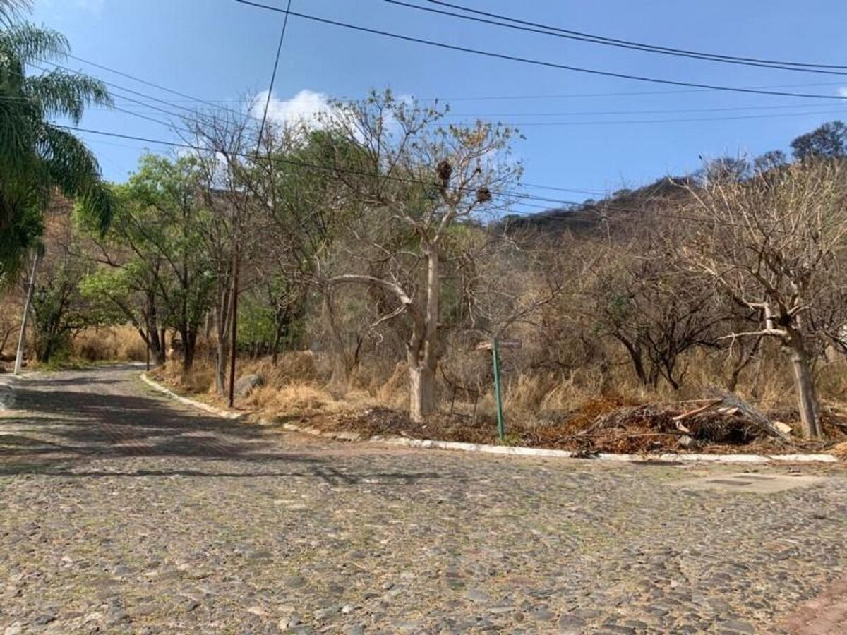 3 de 7