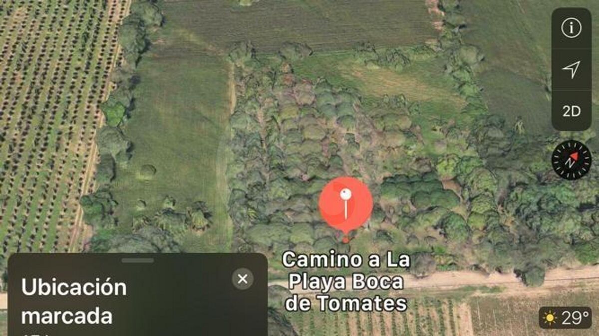5 de 7