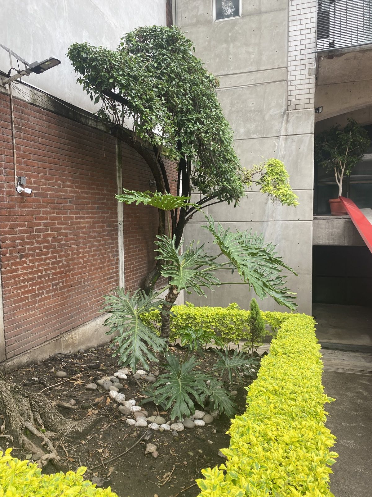 5 de 17
