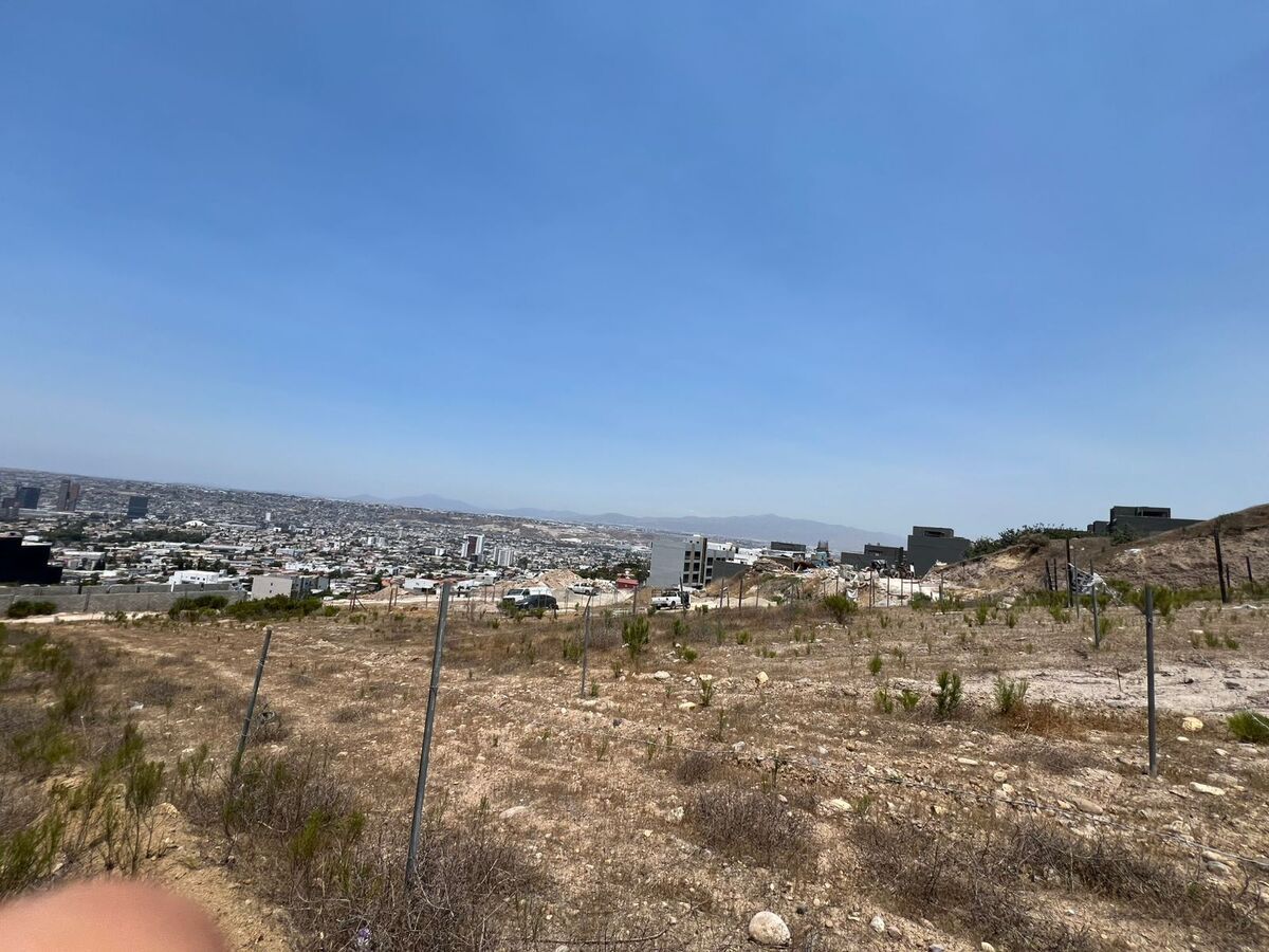 4 de 17