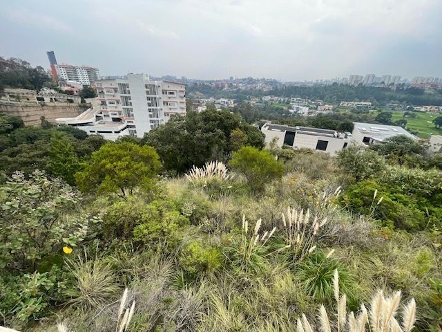 21 de 26