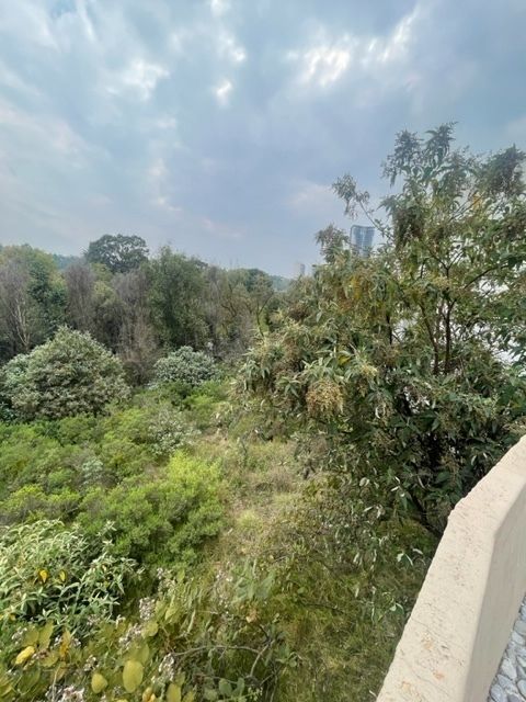 22 de 26