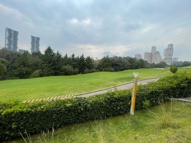 9 de 26