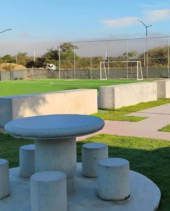 5 de 6