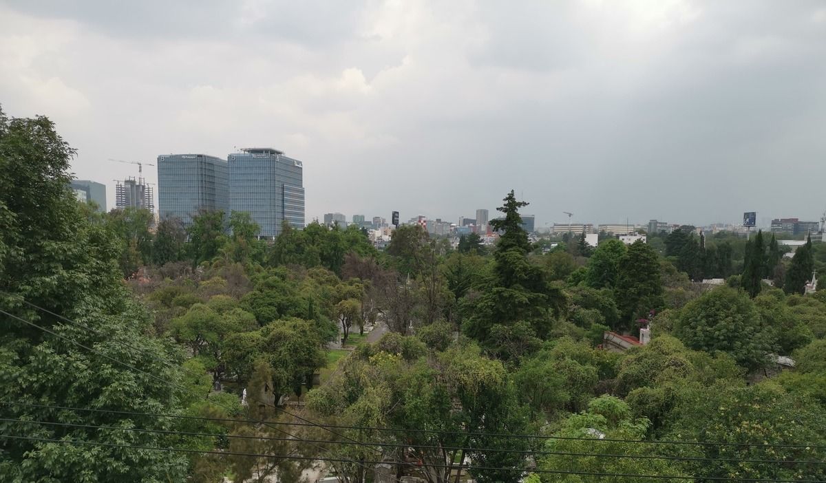 3 de 24