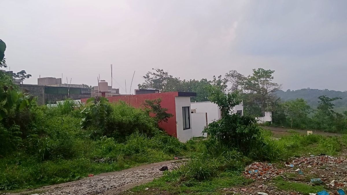 12 de 25