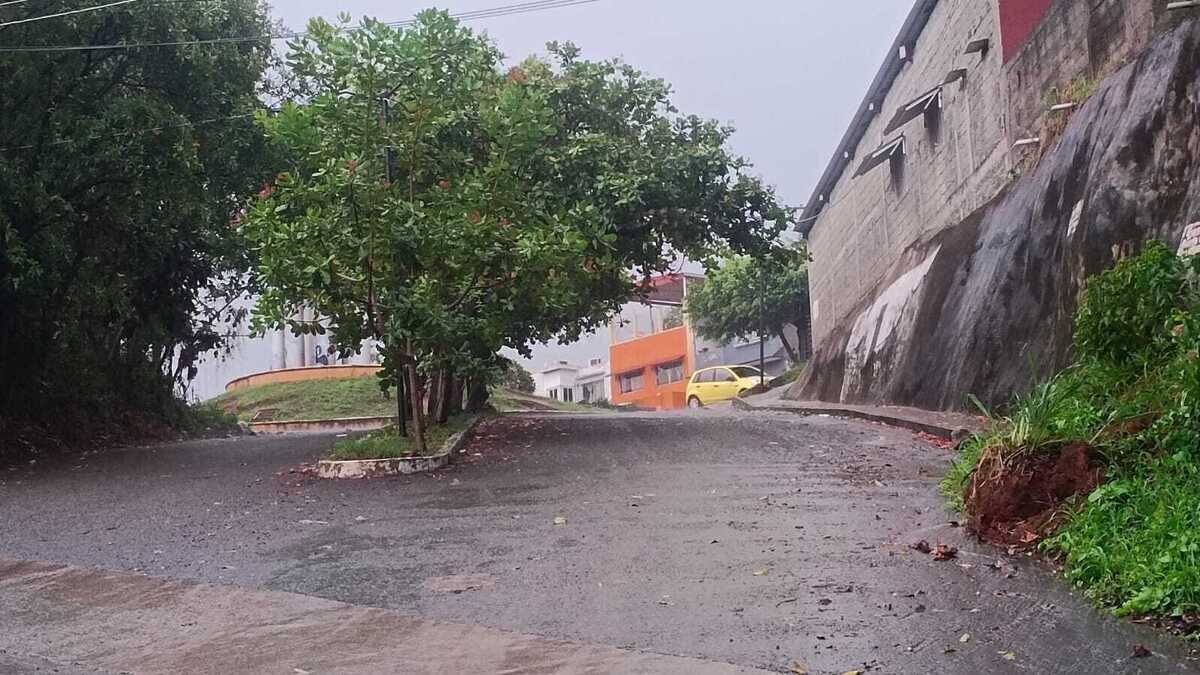 17 de 25