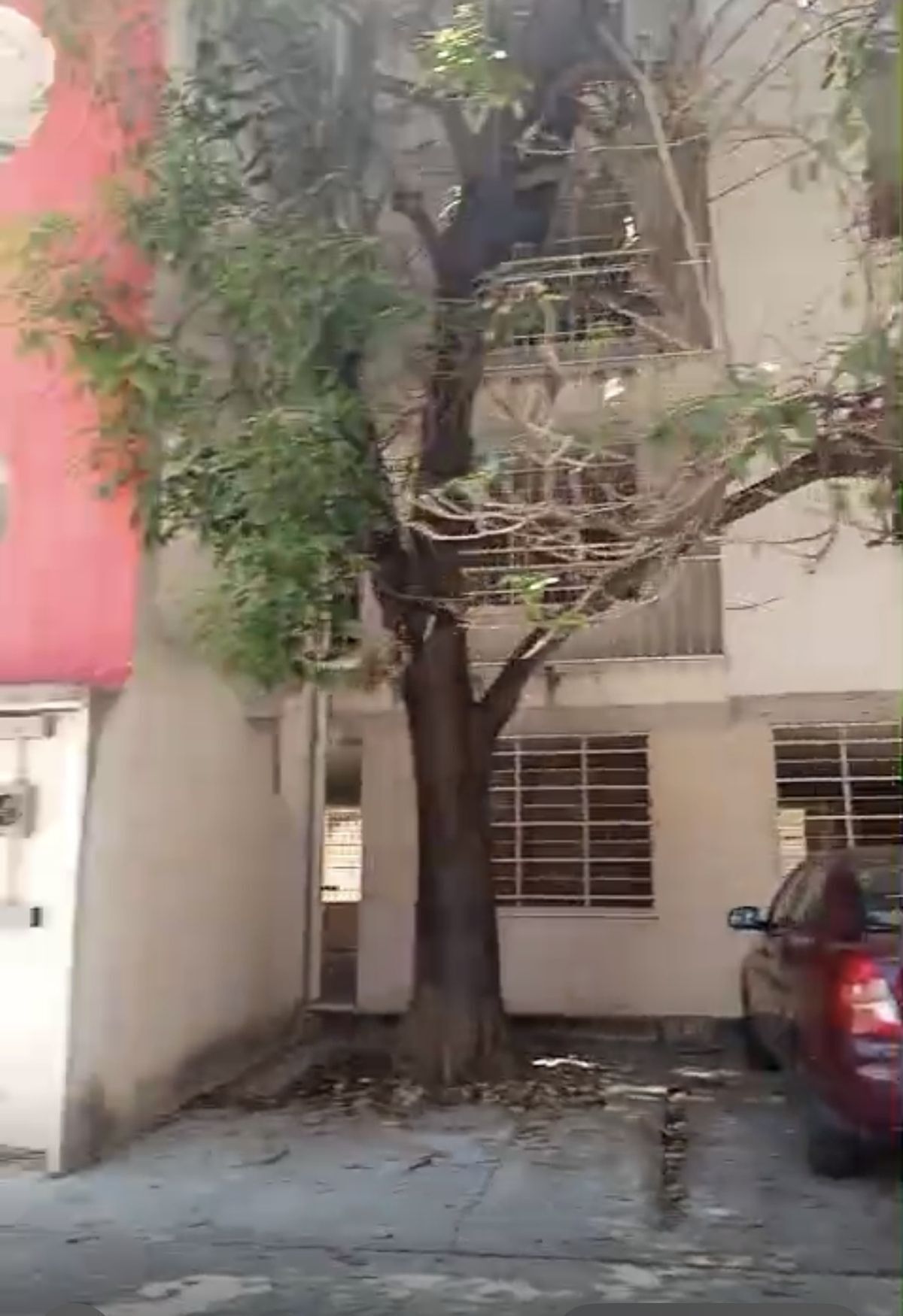 6 de 16