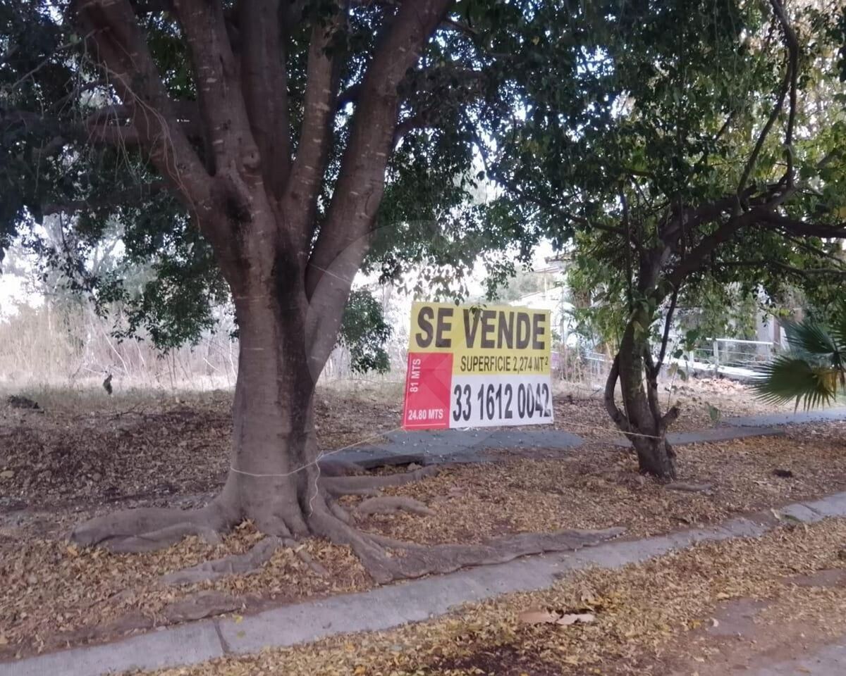 2 de 12