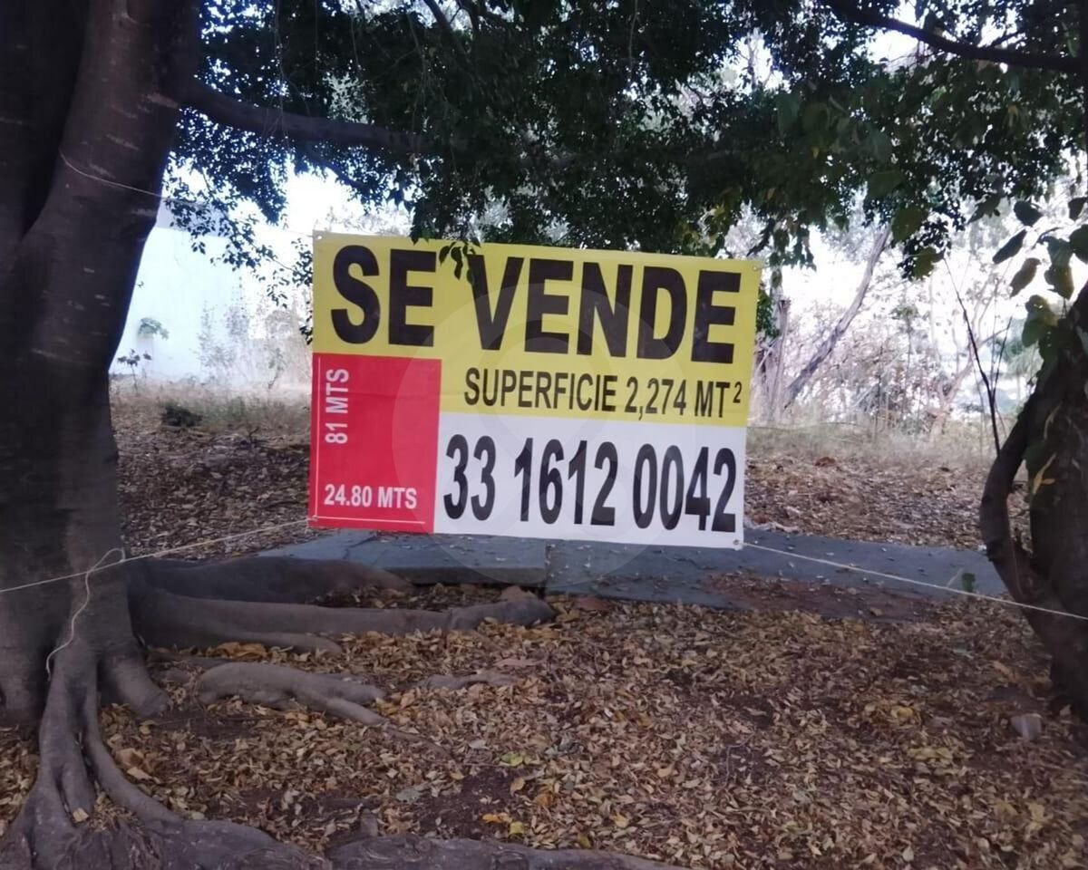 10 de 12