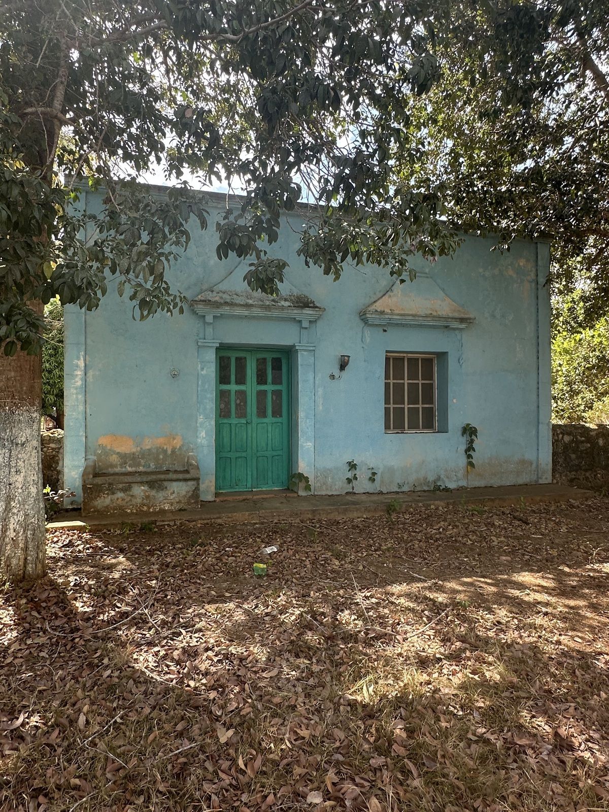 3 de 33