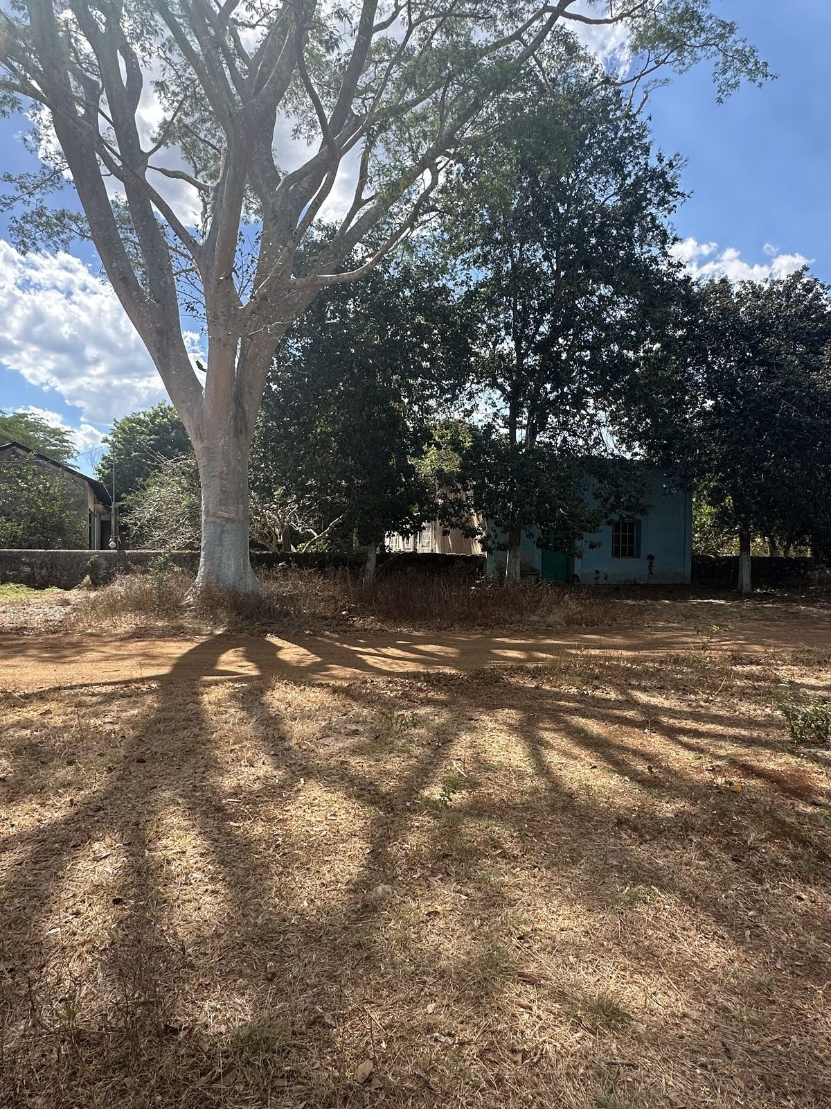 2 de 33