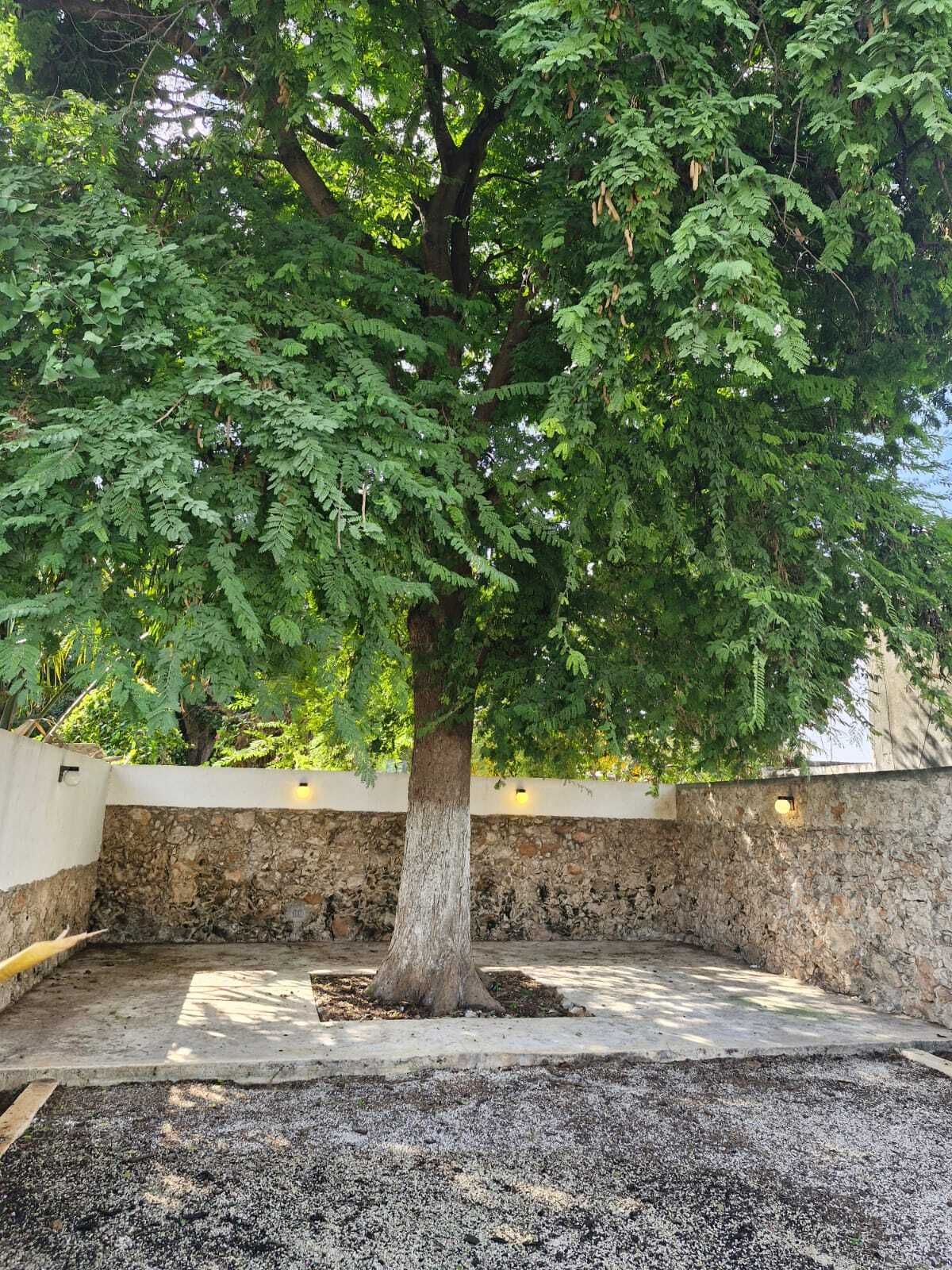 10 de 12