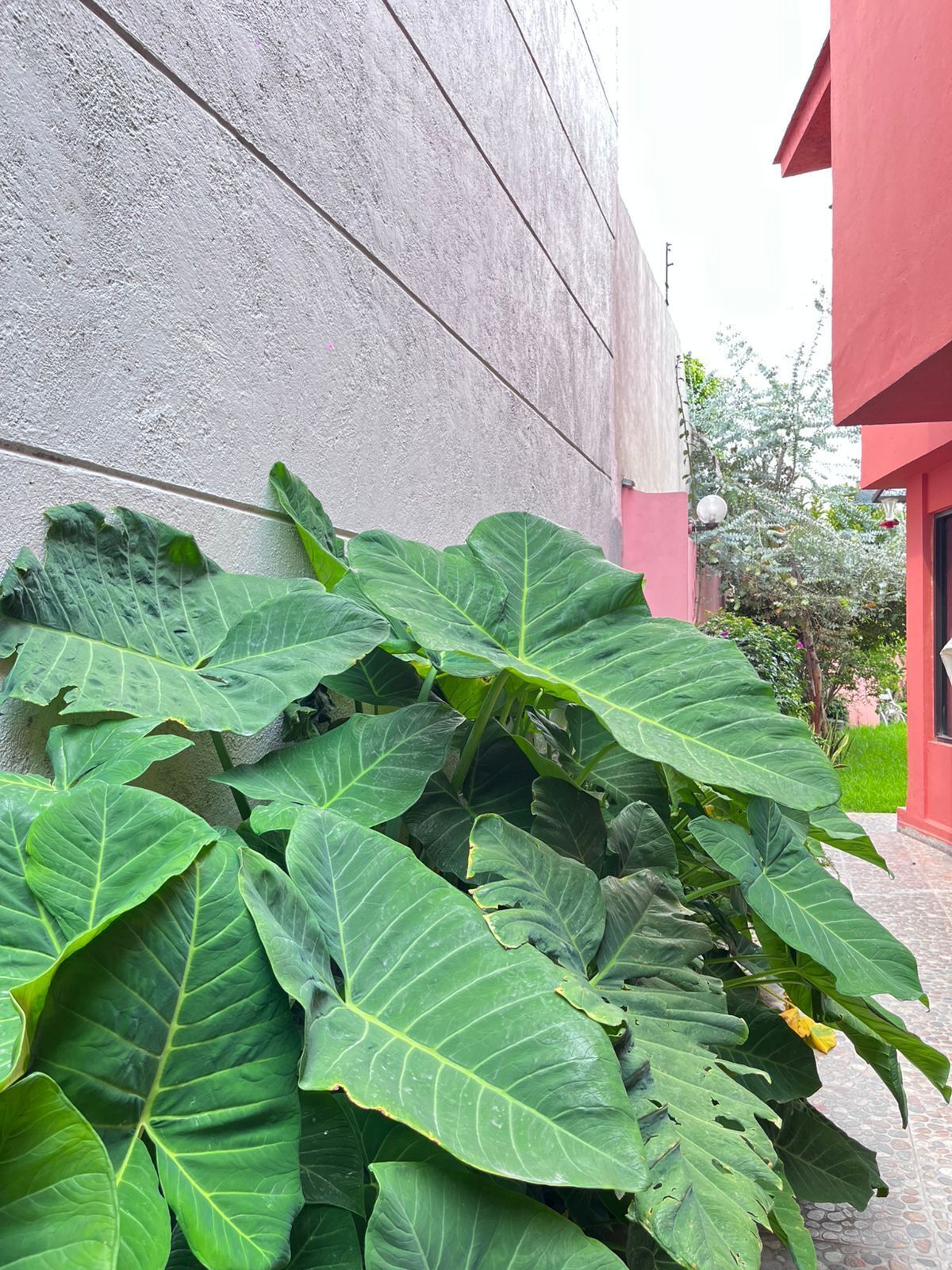 9 of 40