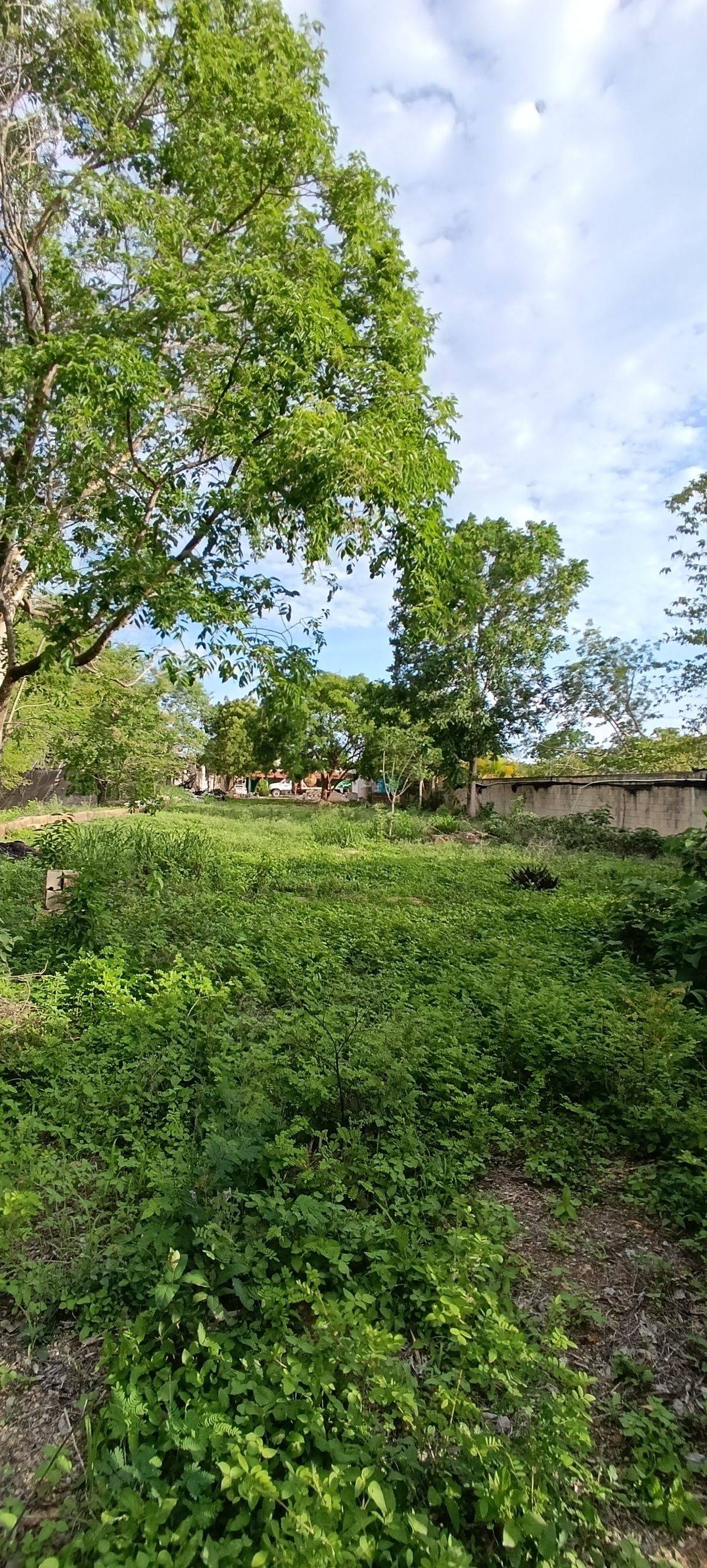 4 de 5