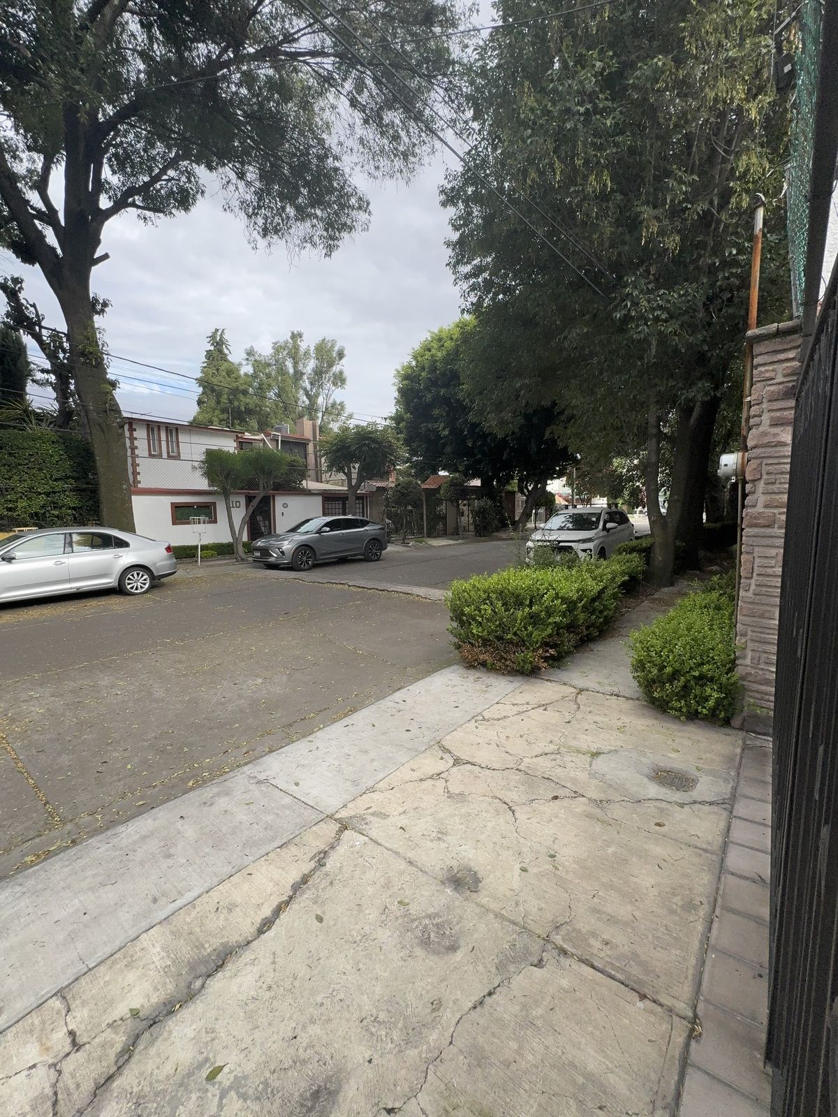 2 de 42: Arboledas, calle anchas