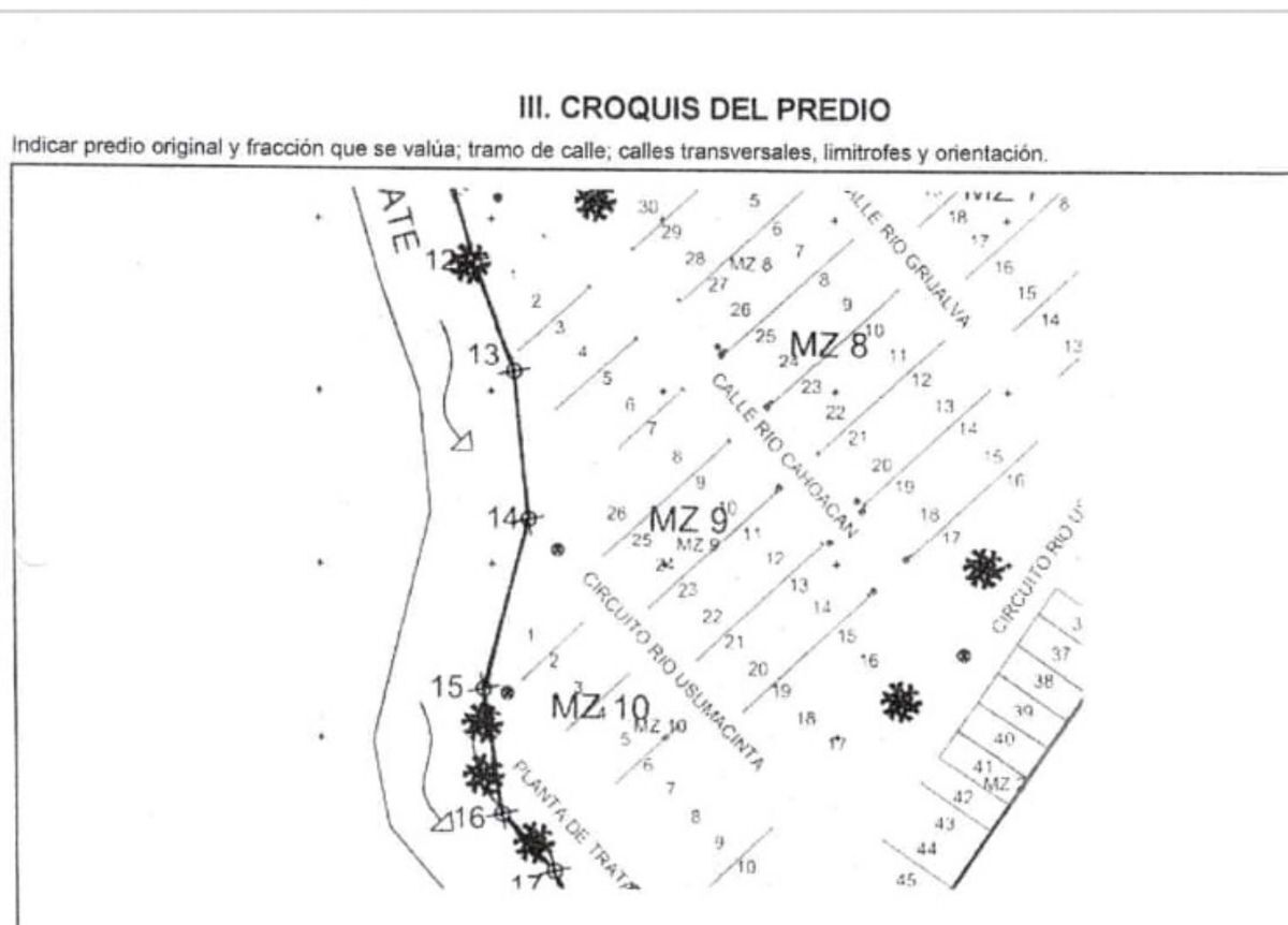 11 de 11