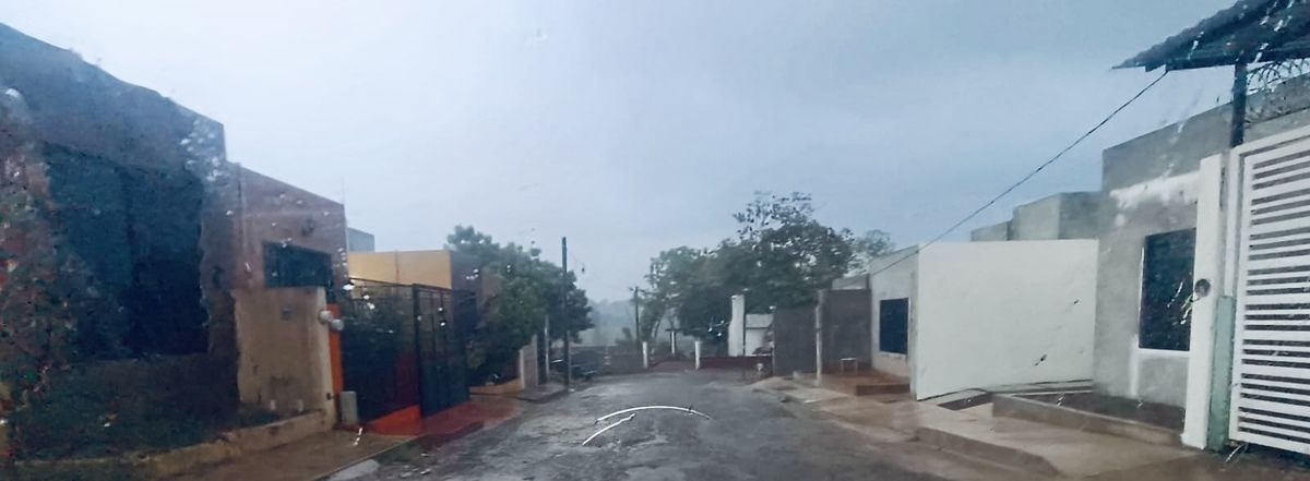 9 de 23