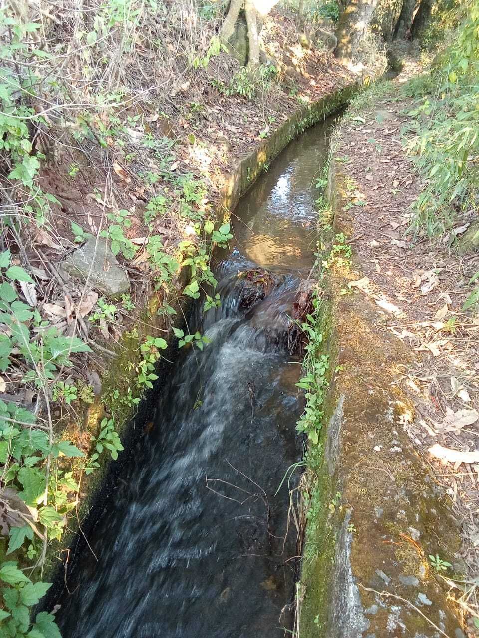3 de 22