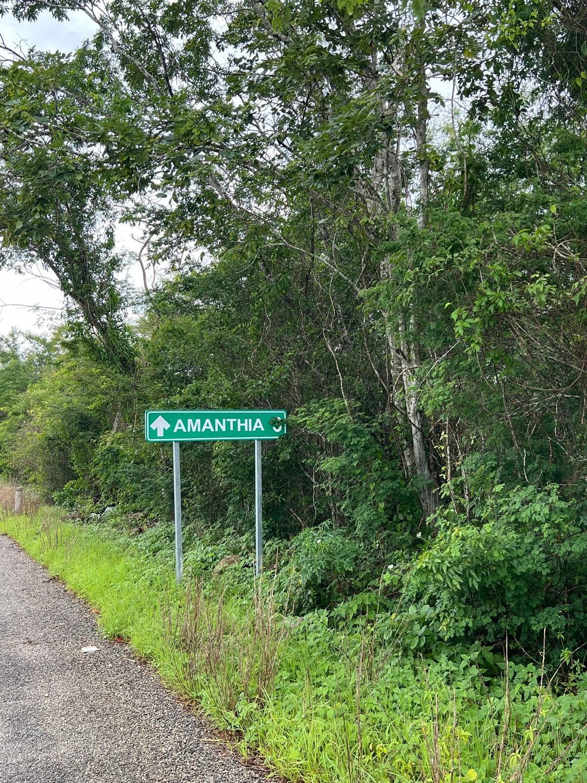 5 de 9