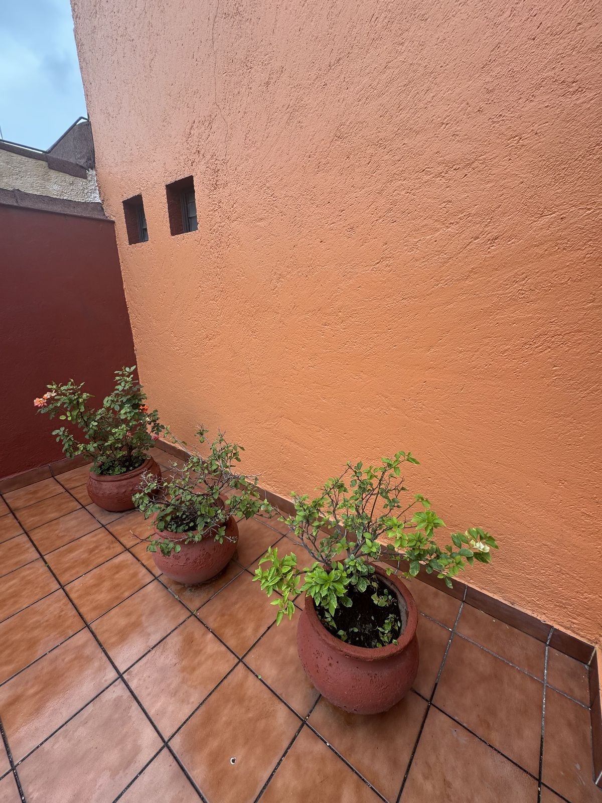 2 de 30