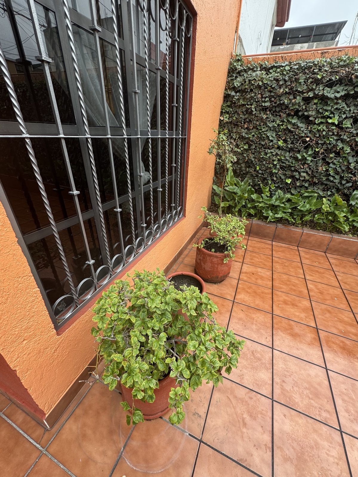 1 de 30