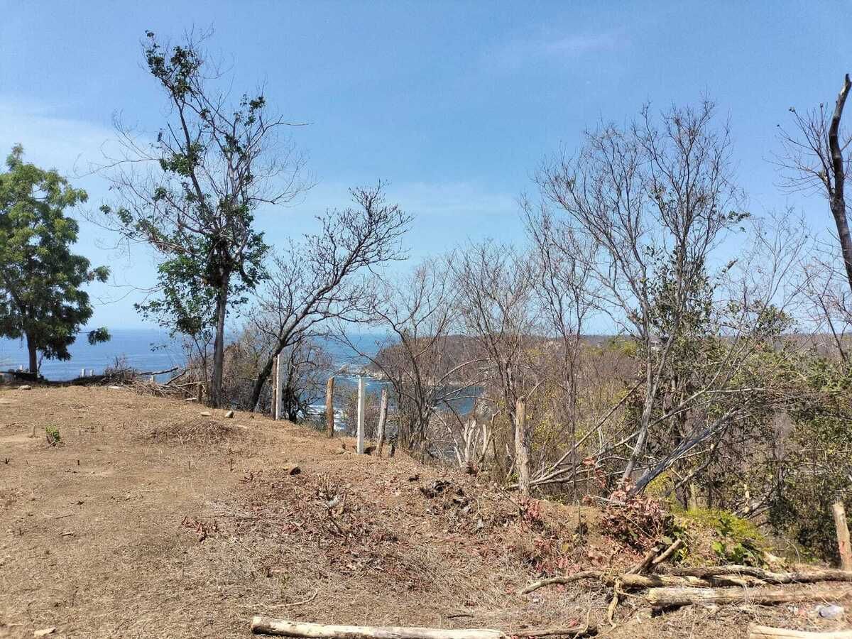 5 de 20: Vistas