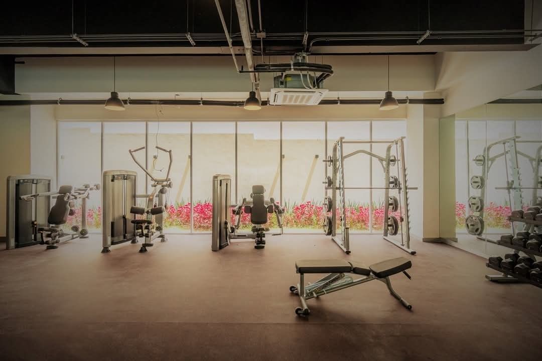 1 de 15: GYM