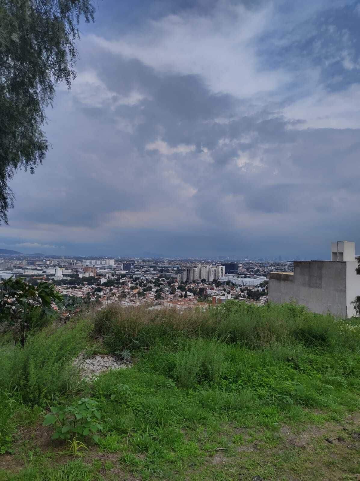7 de 11