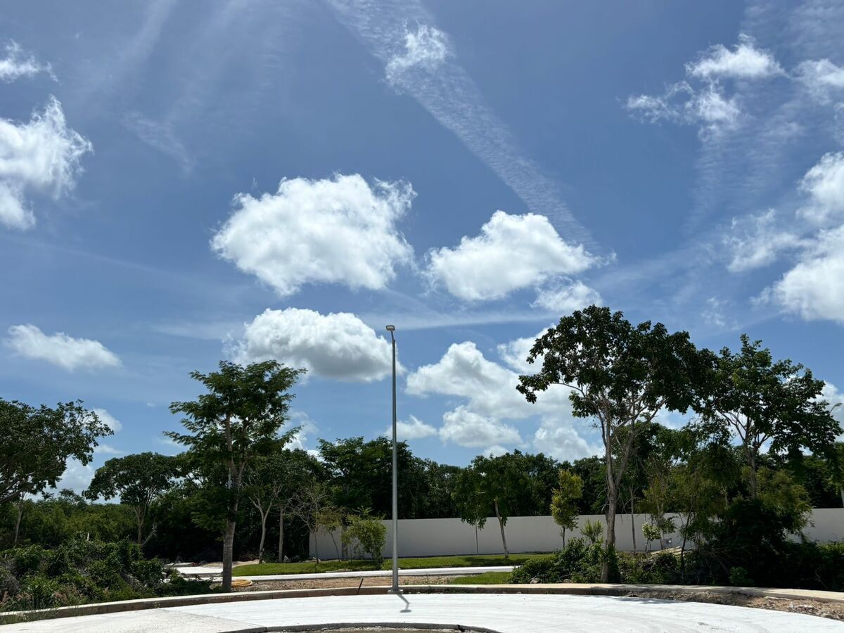 2 de 42