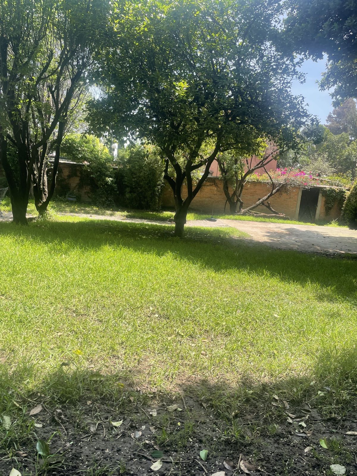 5 de 5