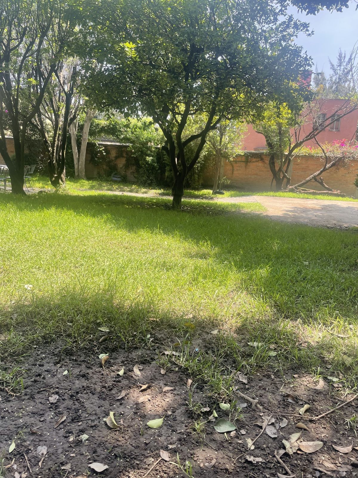 3 de 5