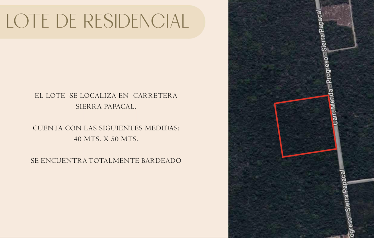 14 de 15