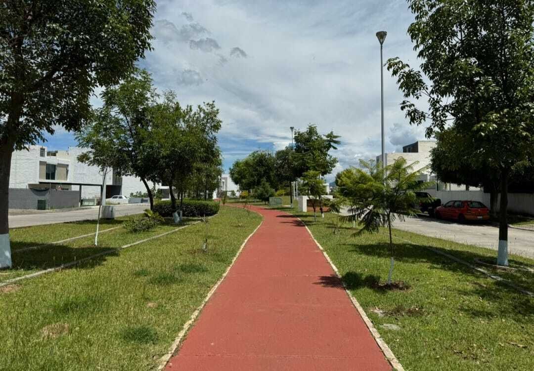 5 de 7