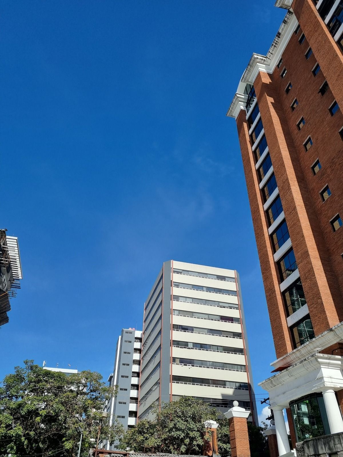 5 de 11