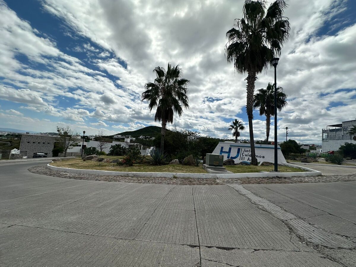 6 de 17