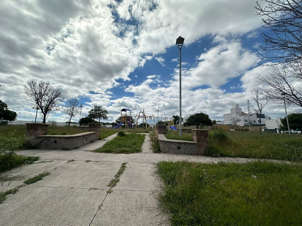 11 de 17
