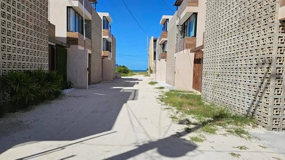 1 de 8