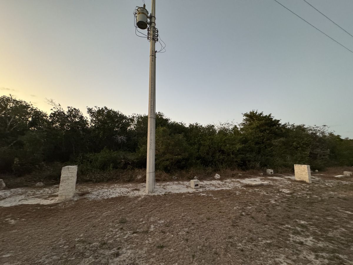 5 de 16