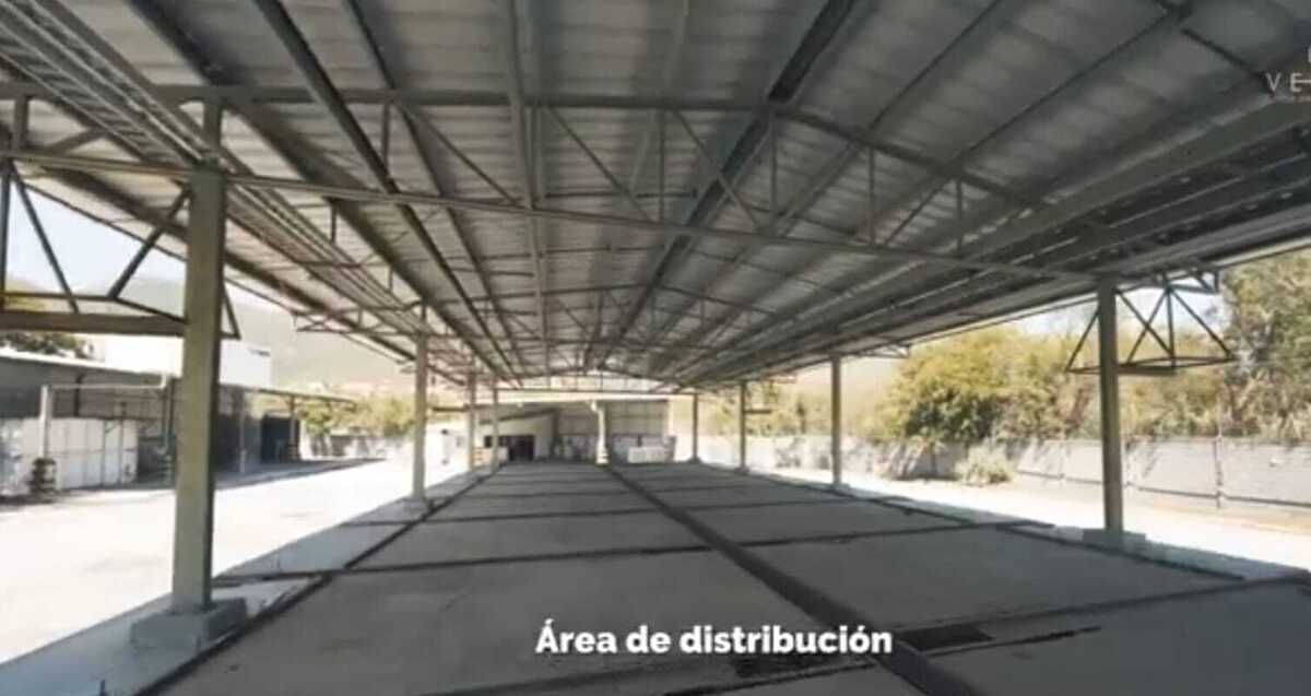 5 de 8