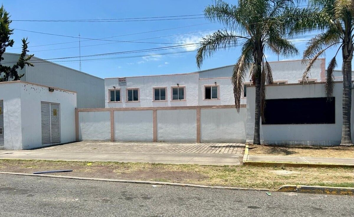 50 de 50