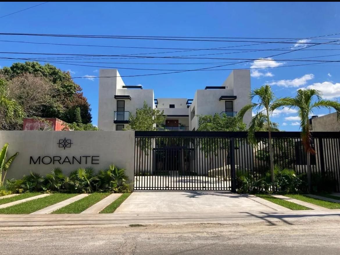 1 de 14