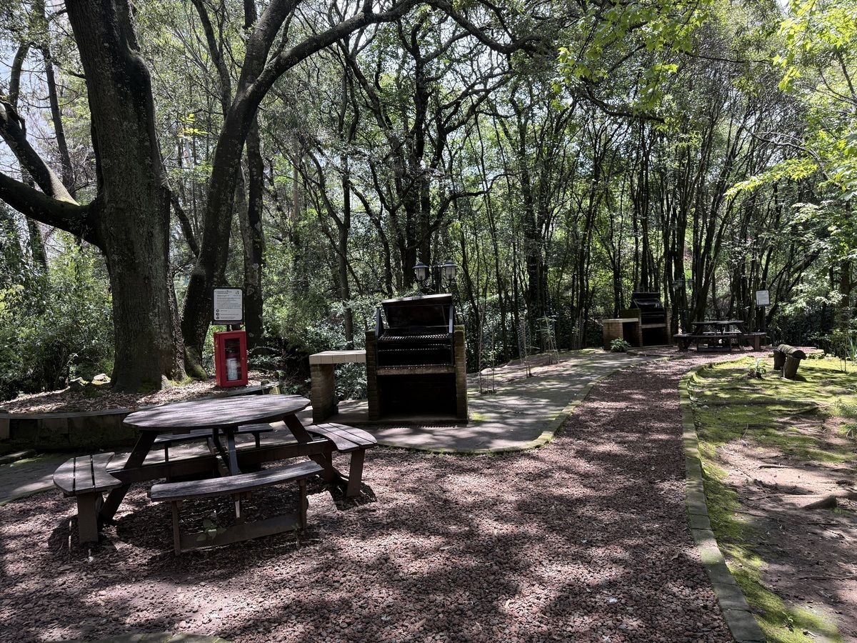 17 of 26: Area de asadores