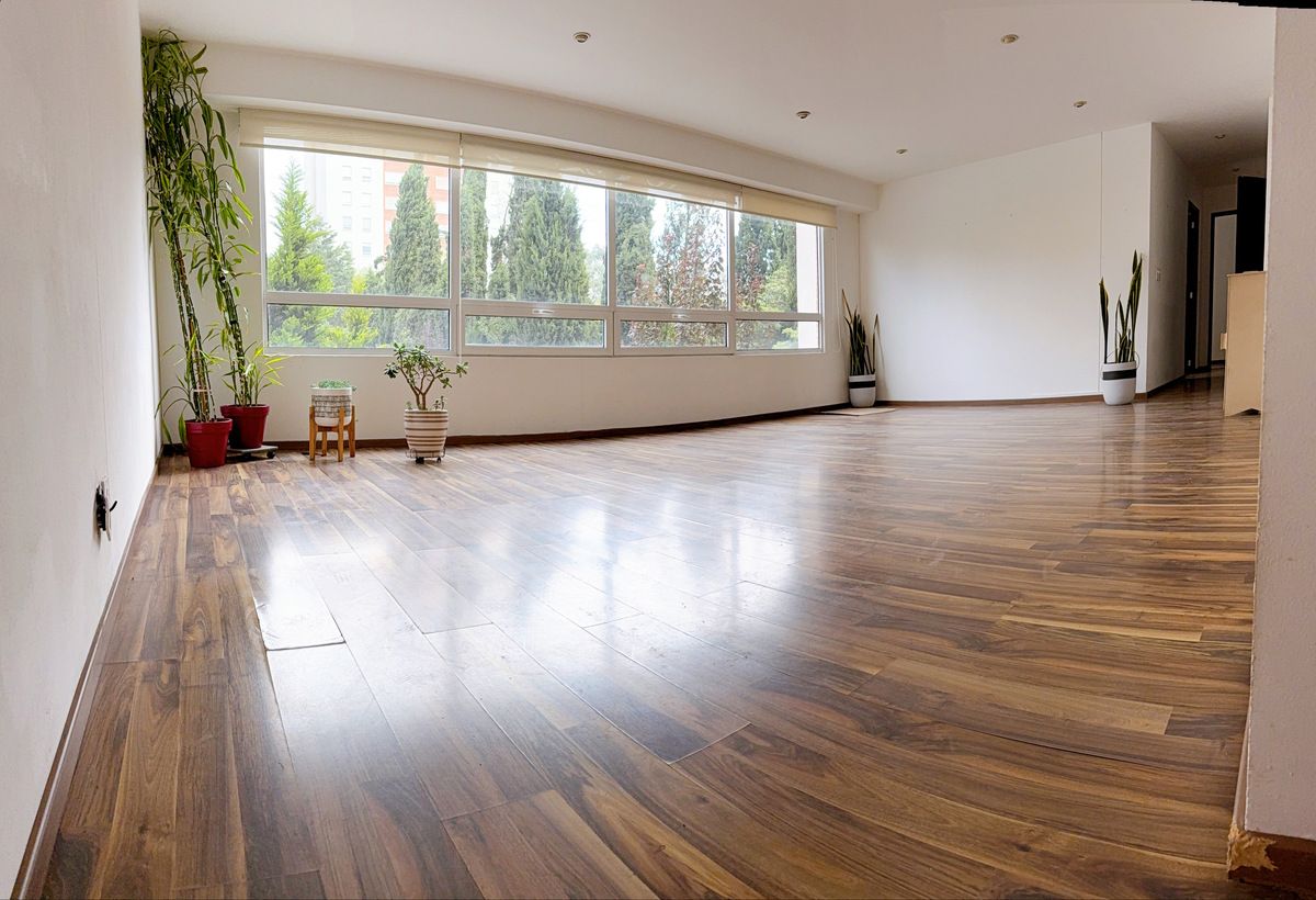 4 of 26: Amplia sala y comedor