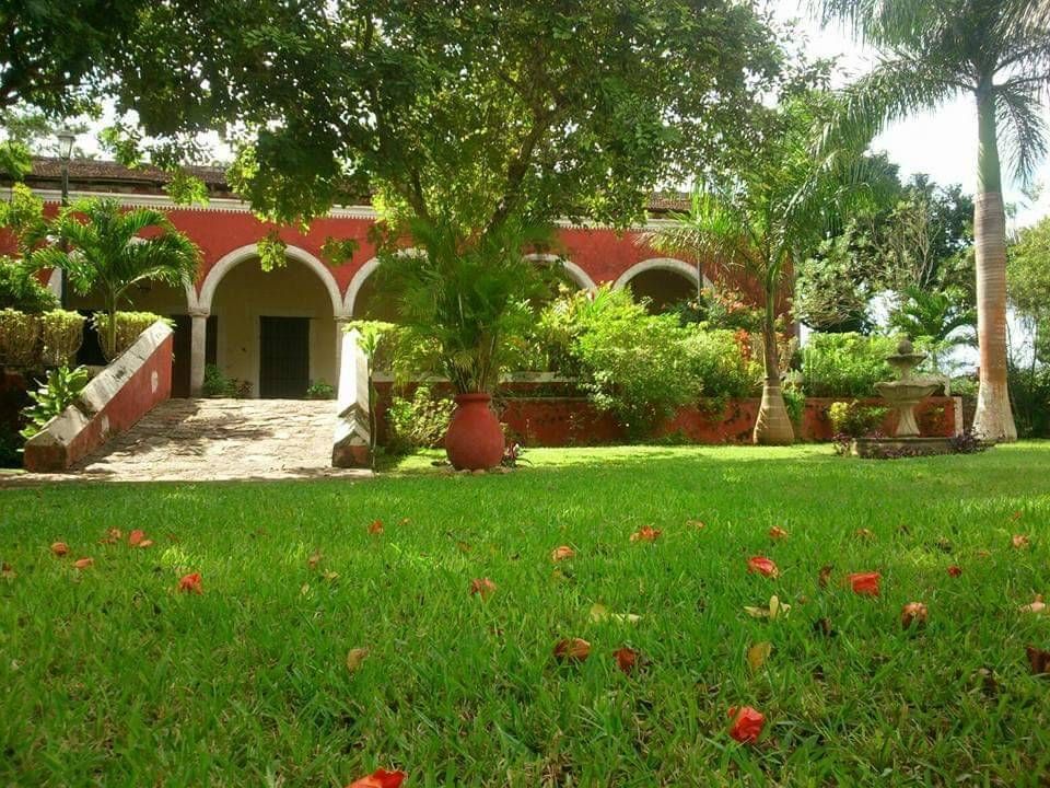 1 de 13