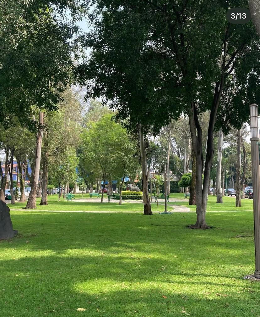 5 de 17