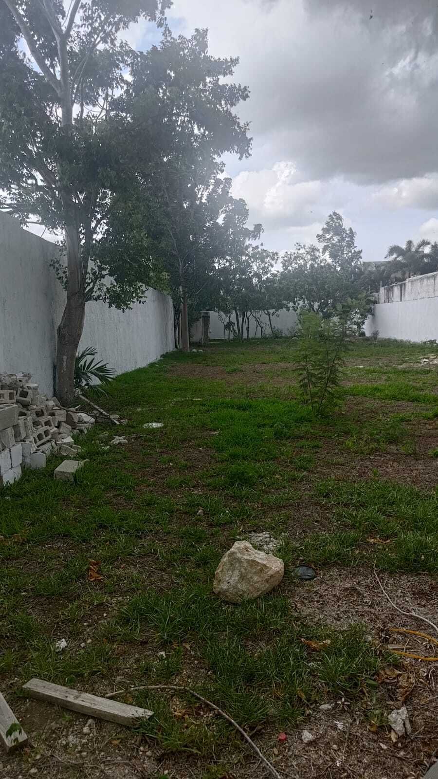 1 de 4