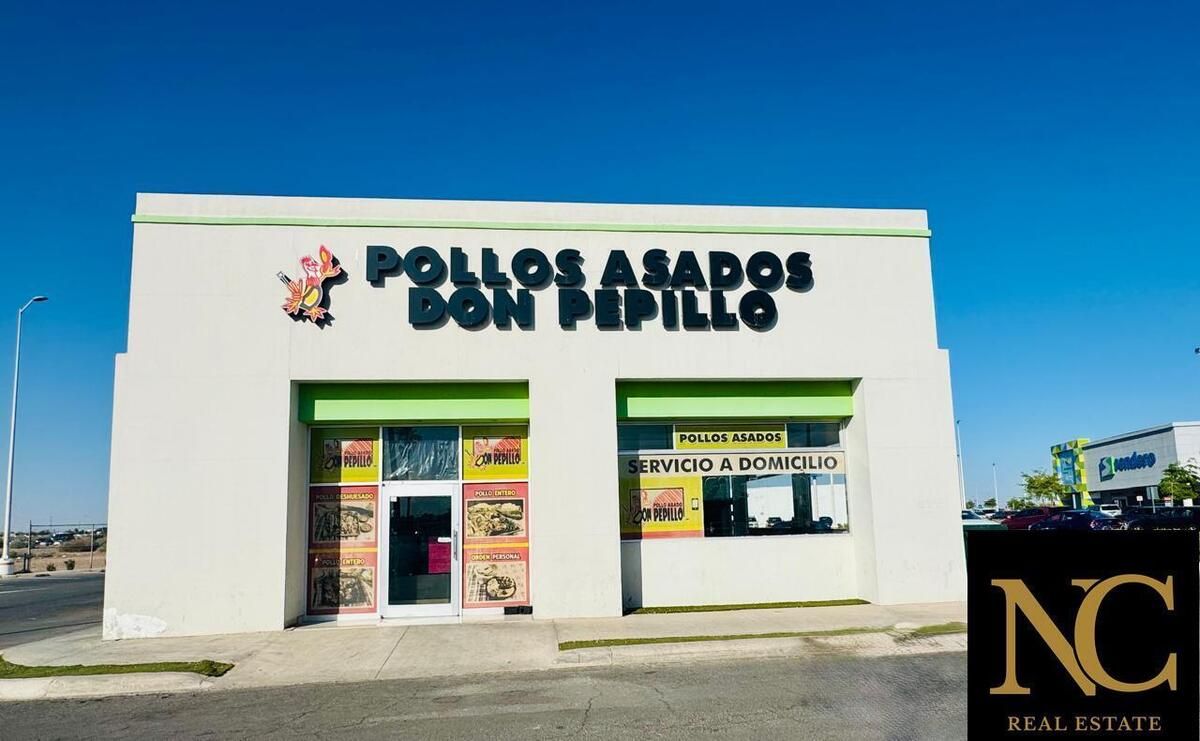 1 de 15